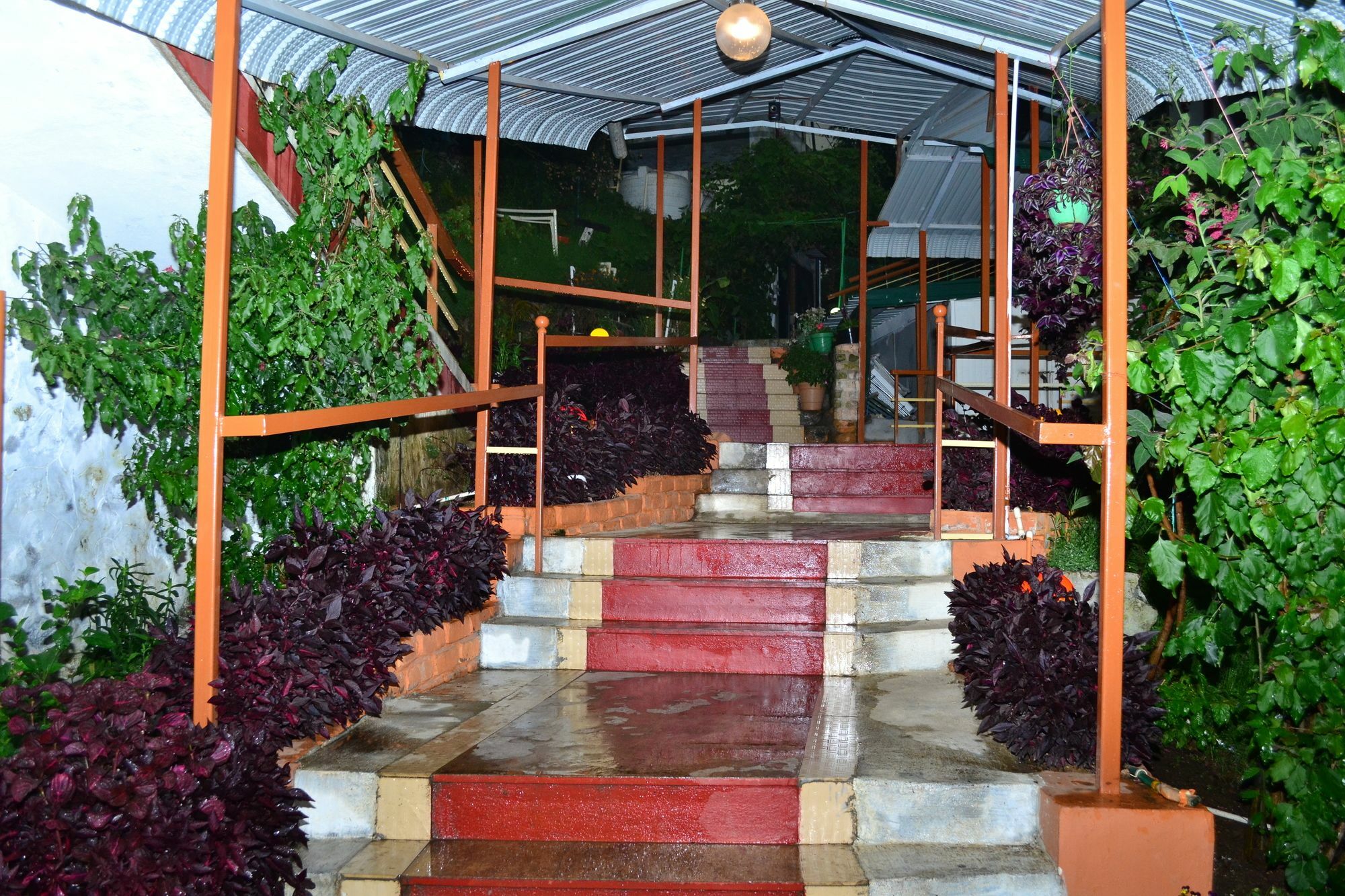 Kodai Sunshine Resort コダイカナル エクステリア 写真